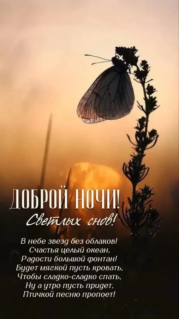 Галерея Открыток