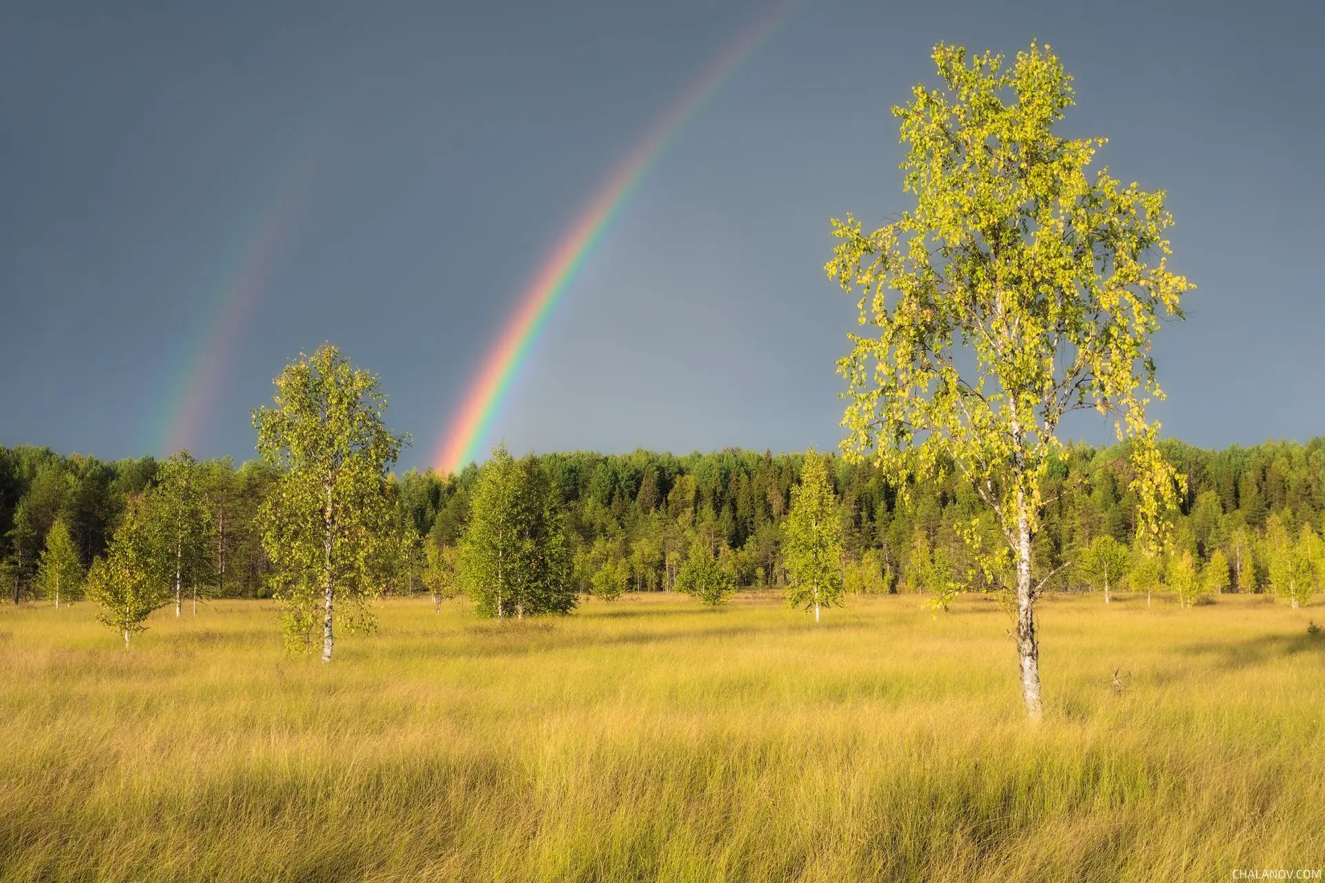 🌦 Последняя неделя мая будет дождливой.  Дожди будут частыми, разной интенсивности, в отдельные дни 