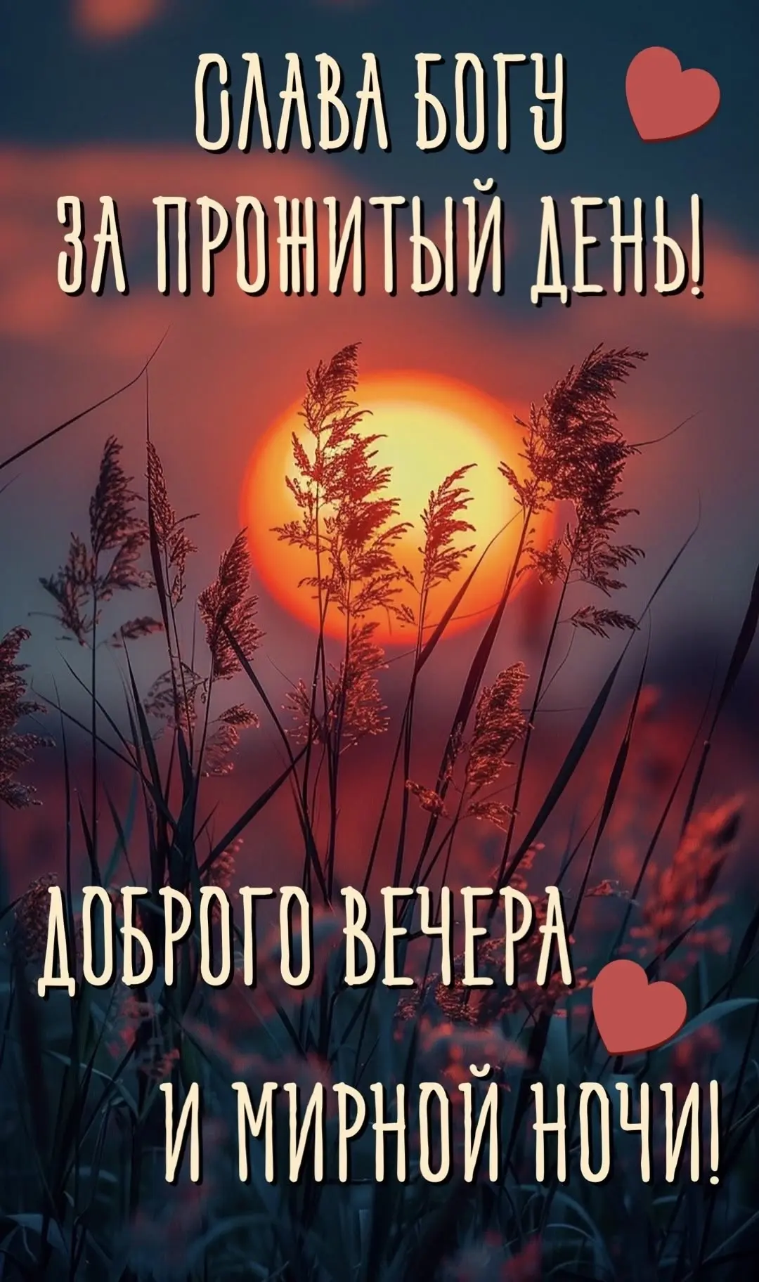#спокойнойночи
