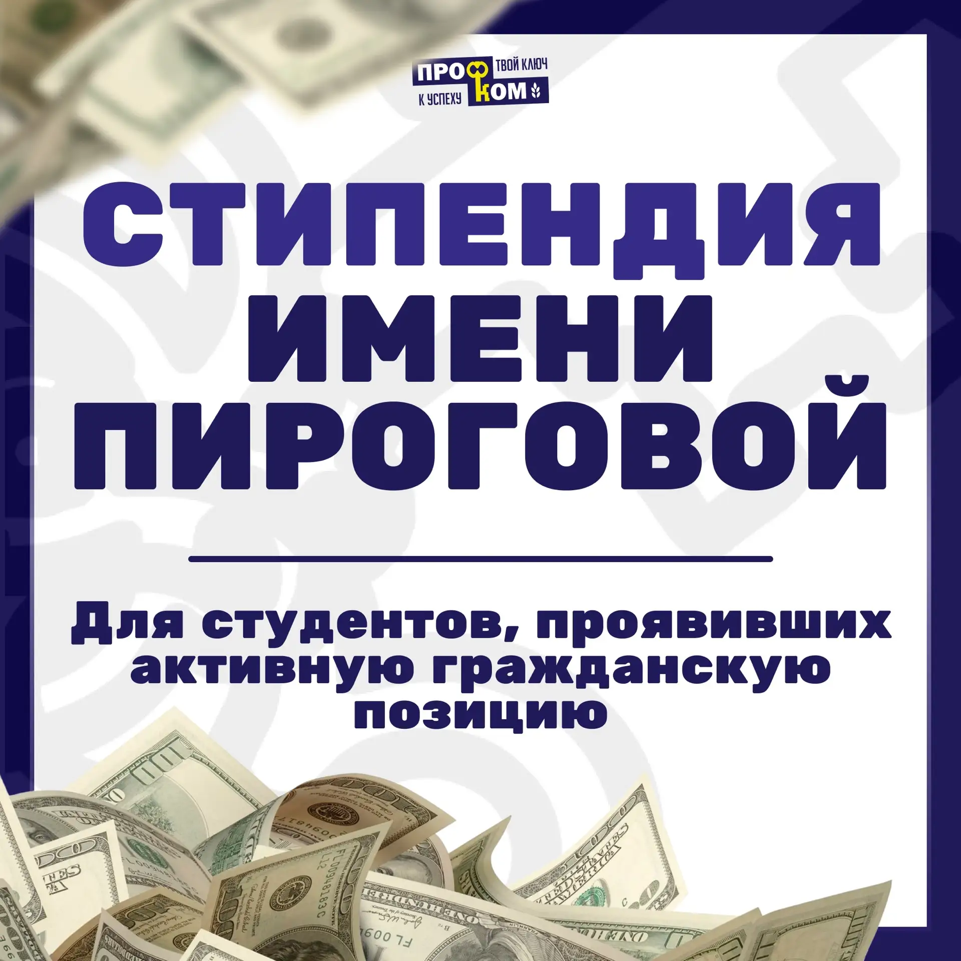 Стипендия имени Пироговой