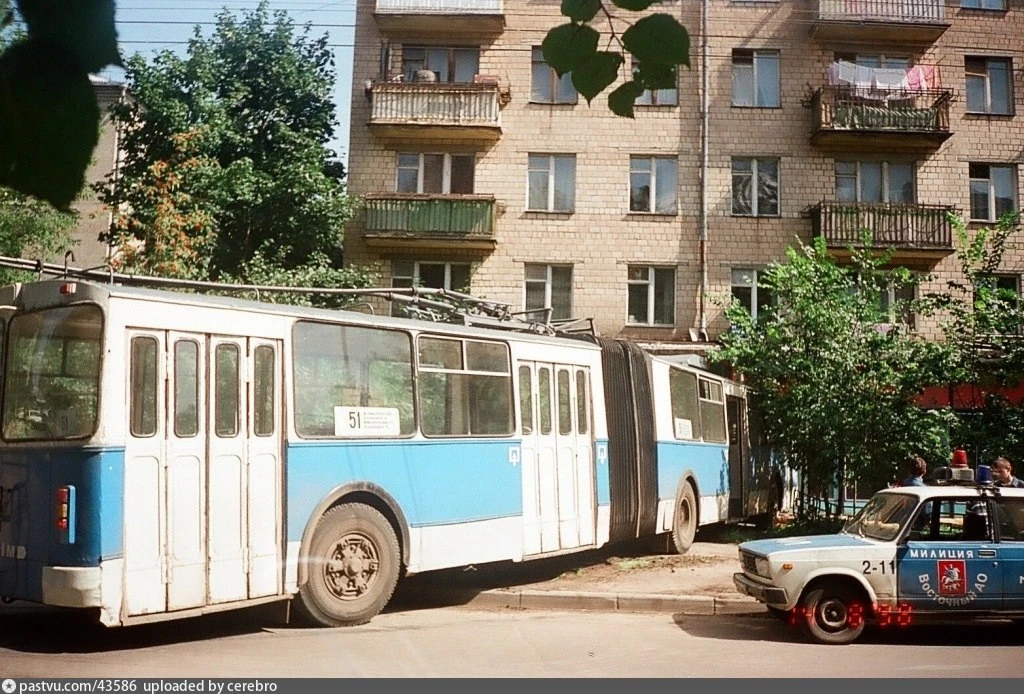 Гармонь в кустах