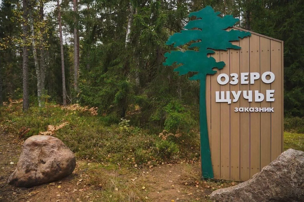 🌲 Экотропа через шесть озёр недалеко от Комарово