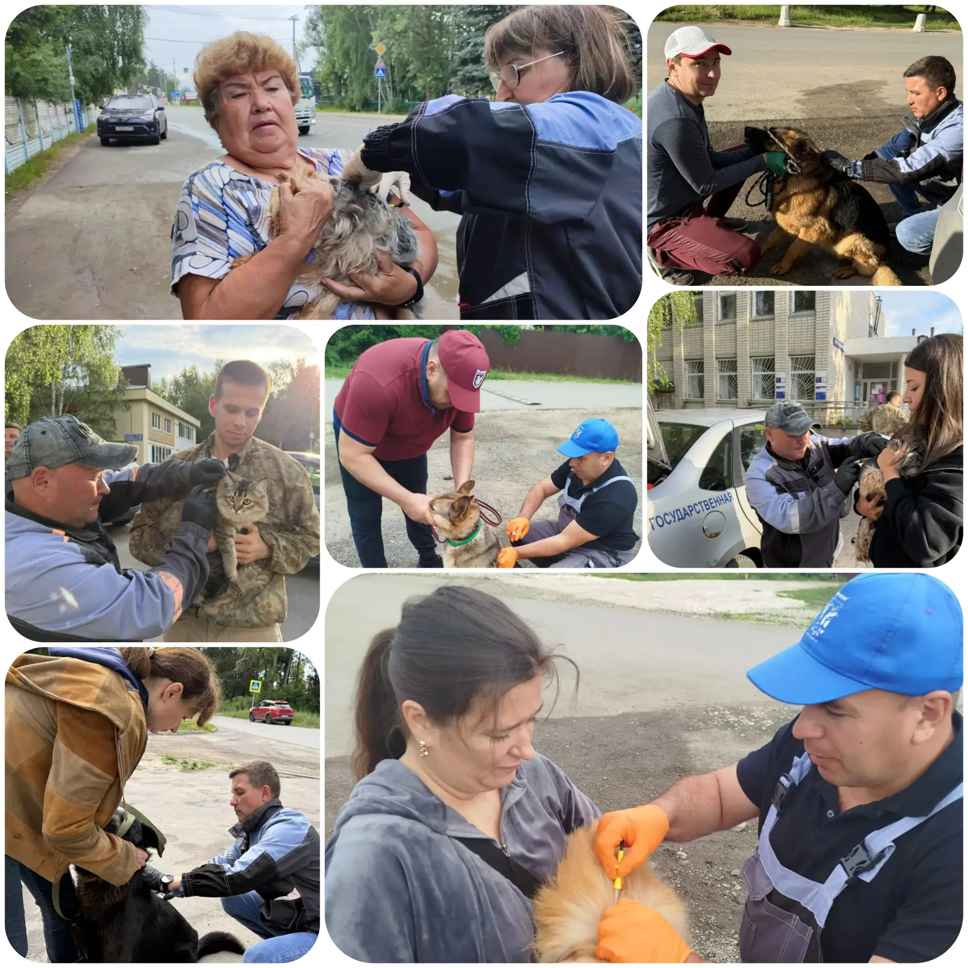 ❗ Важная информация для владельцев домашних питомцев! 🐾 

22 июня 2026 года ветеринарные специалист