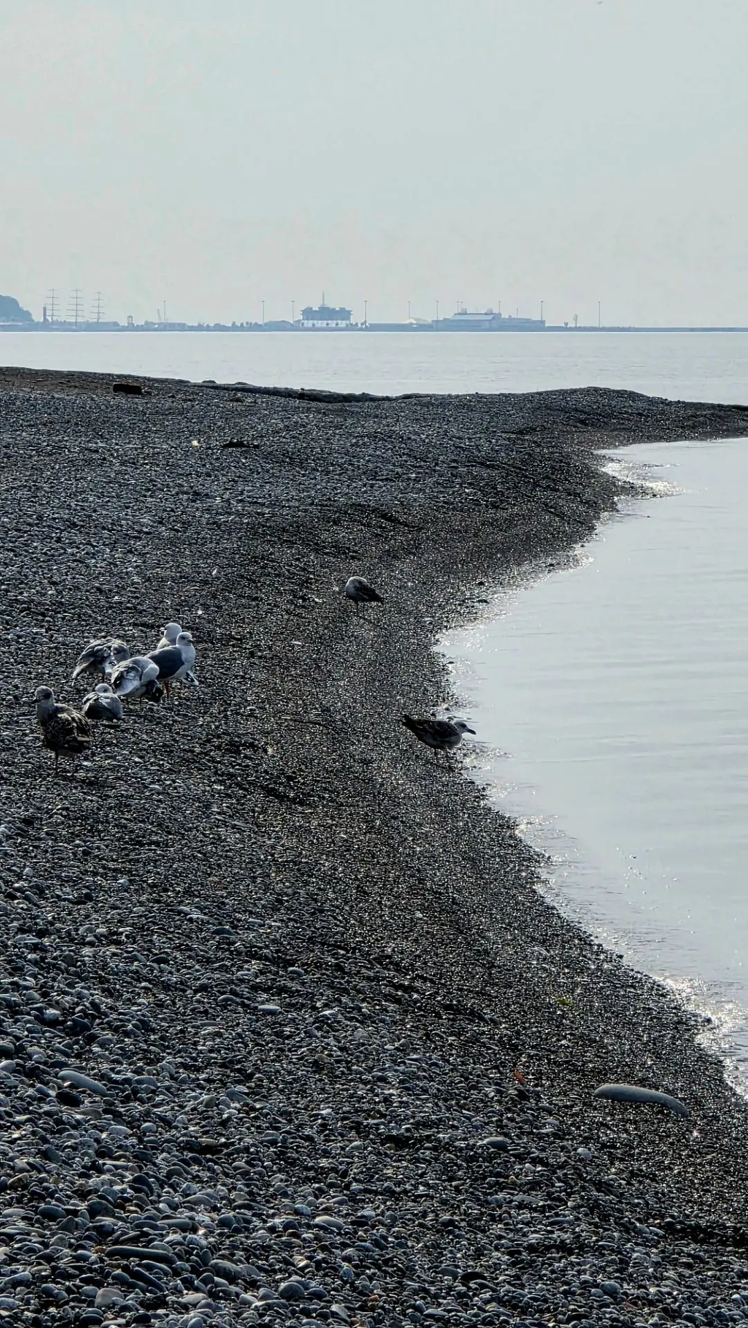 Море остыло ((