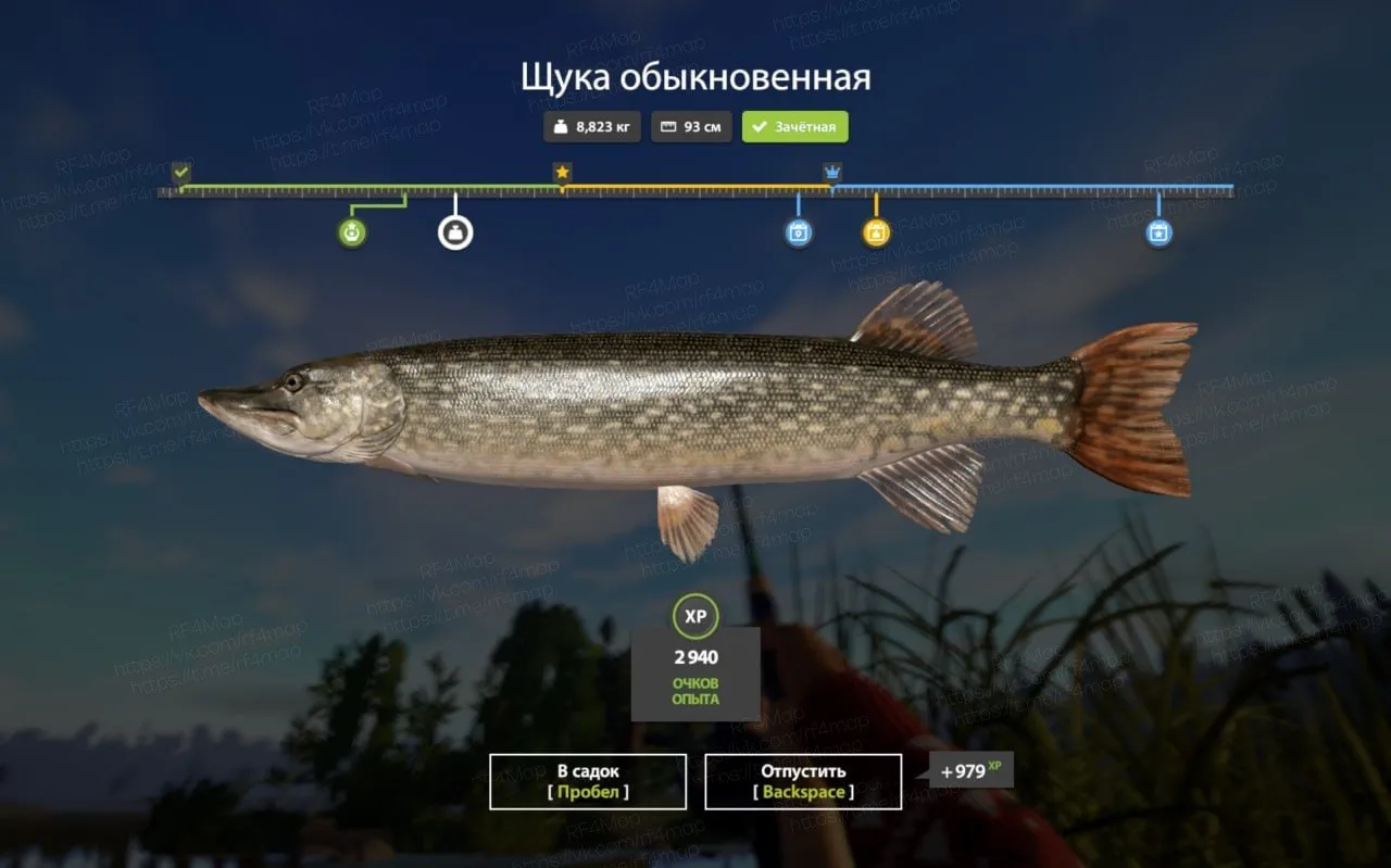 #фарм_rf4map