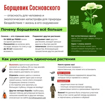 В Межевском муниципальном округе завершен первый этап ликвидационных работ по борьбе с ...