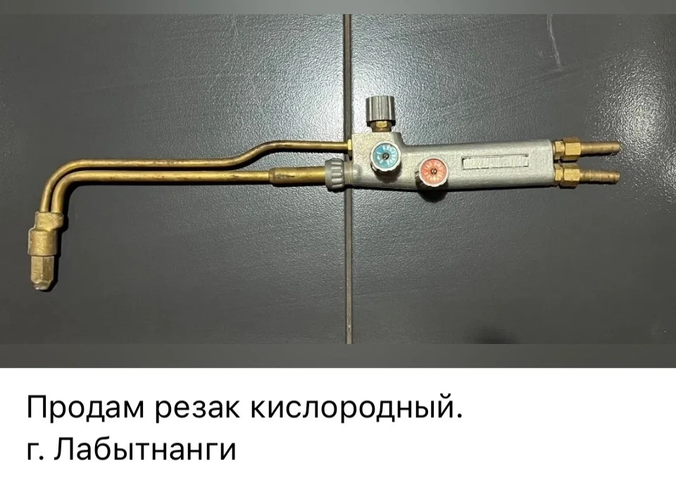 👤 Светлана Шитова