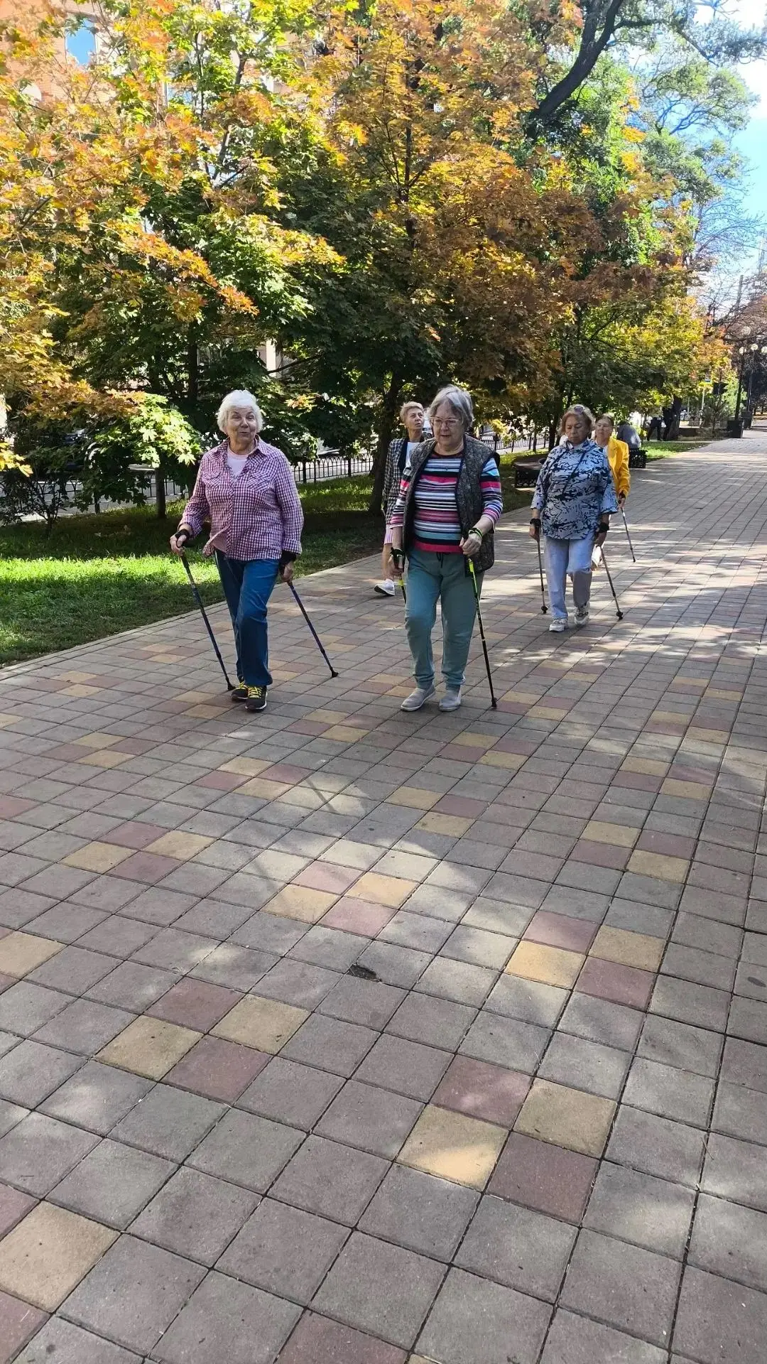 🍂 Скандинавская ходьба осенью — идеальный способ держать себя в тонусе без изнурительн...