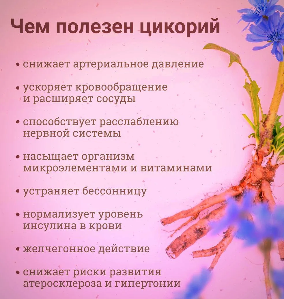 ЦИКОРИЙ