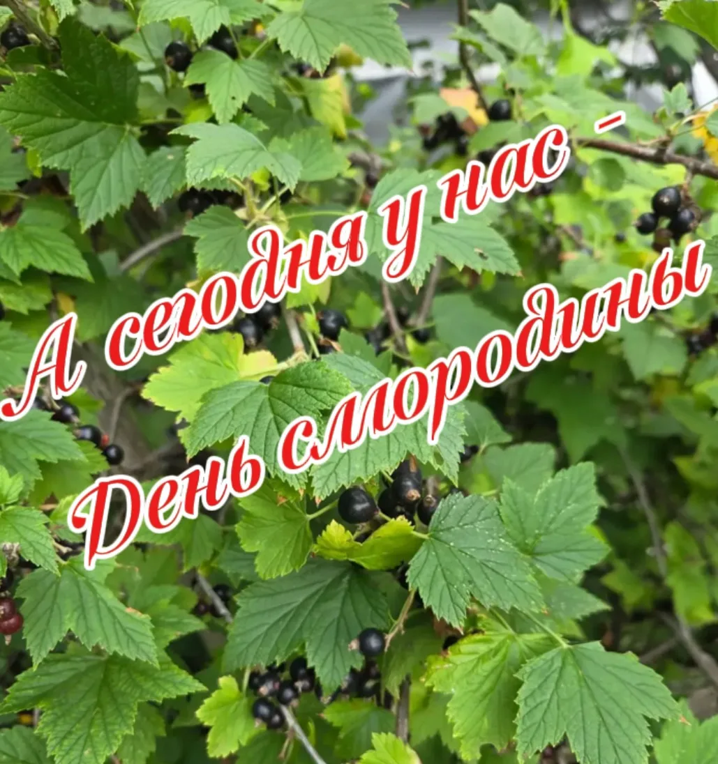 Витмины + творчество = идеальный день! ❤️🍇✨ 
Во 2 группе прошёл настоящий «День смородины». Ребята 