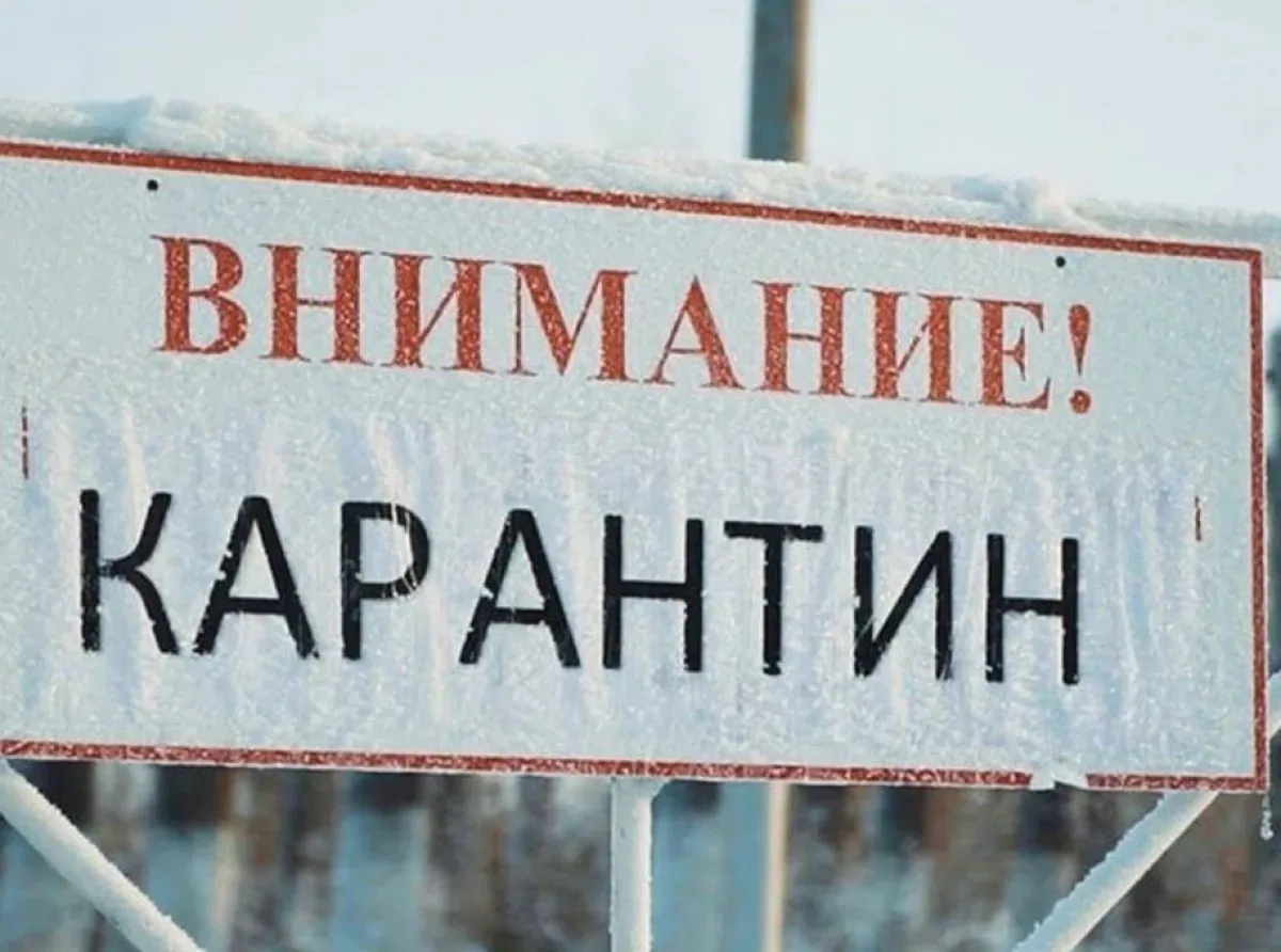 🇷🇺 Больницы Иркутска закрыты на карантин — СМИ. При этом в Роспотребнадзоре сообщили,...