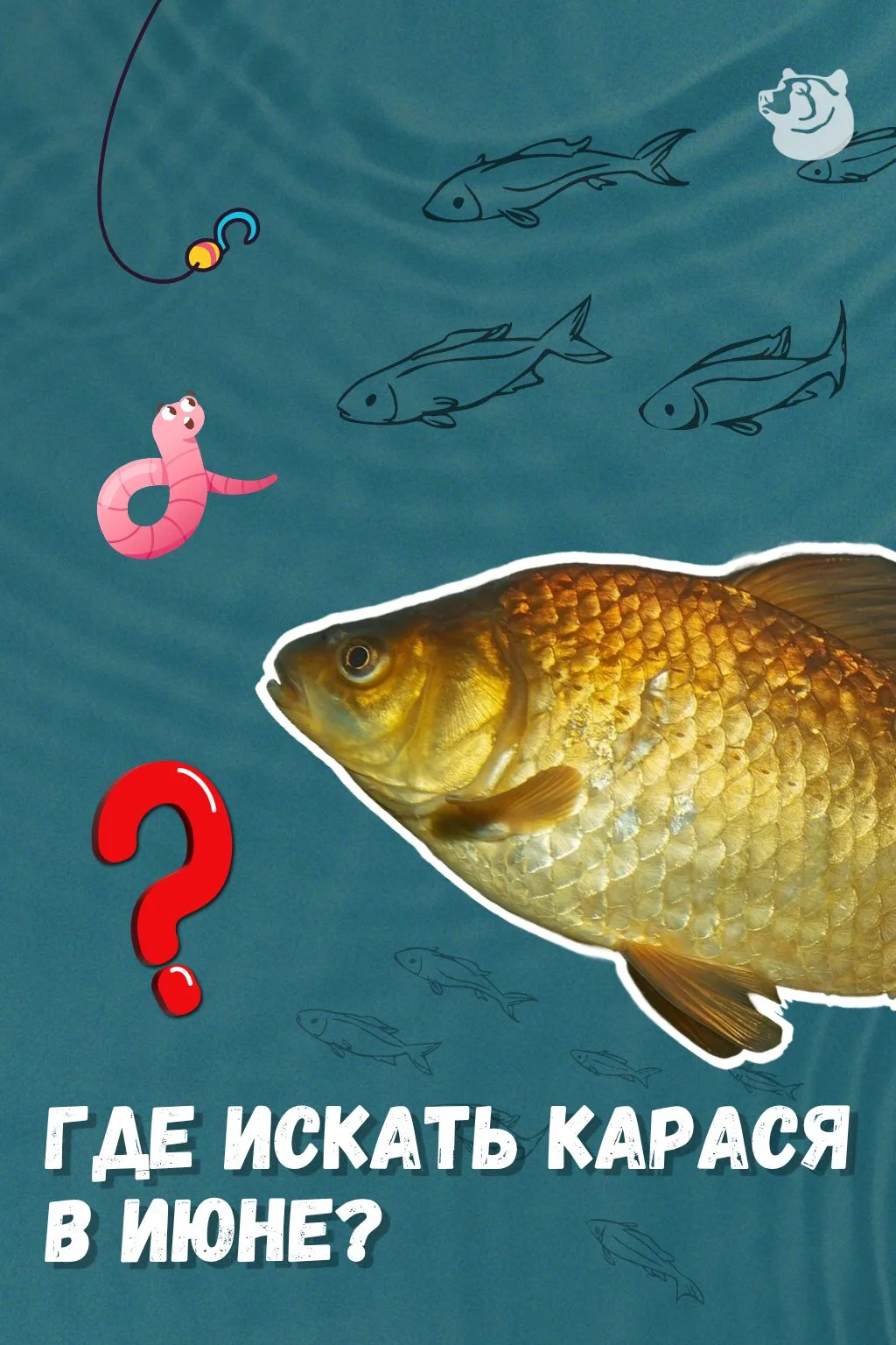 🎣 ТОП - 5 рабочих точек! 😉👇

В июне карась держится на глубинах от 0,8 до 2 метров, но в жару мож