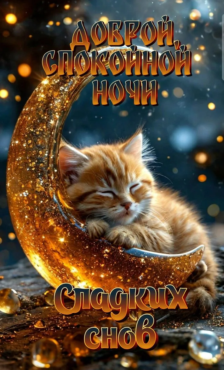 Доброй ночи! Прекрасных и сладких снов! ✨🌙