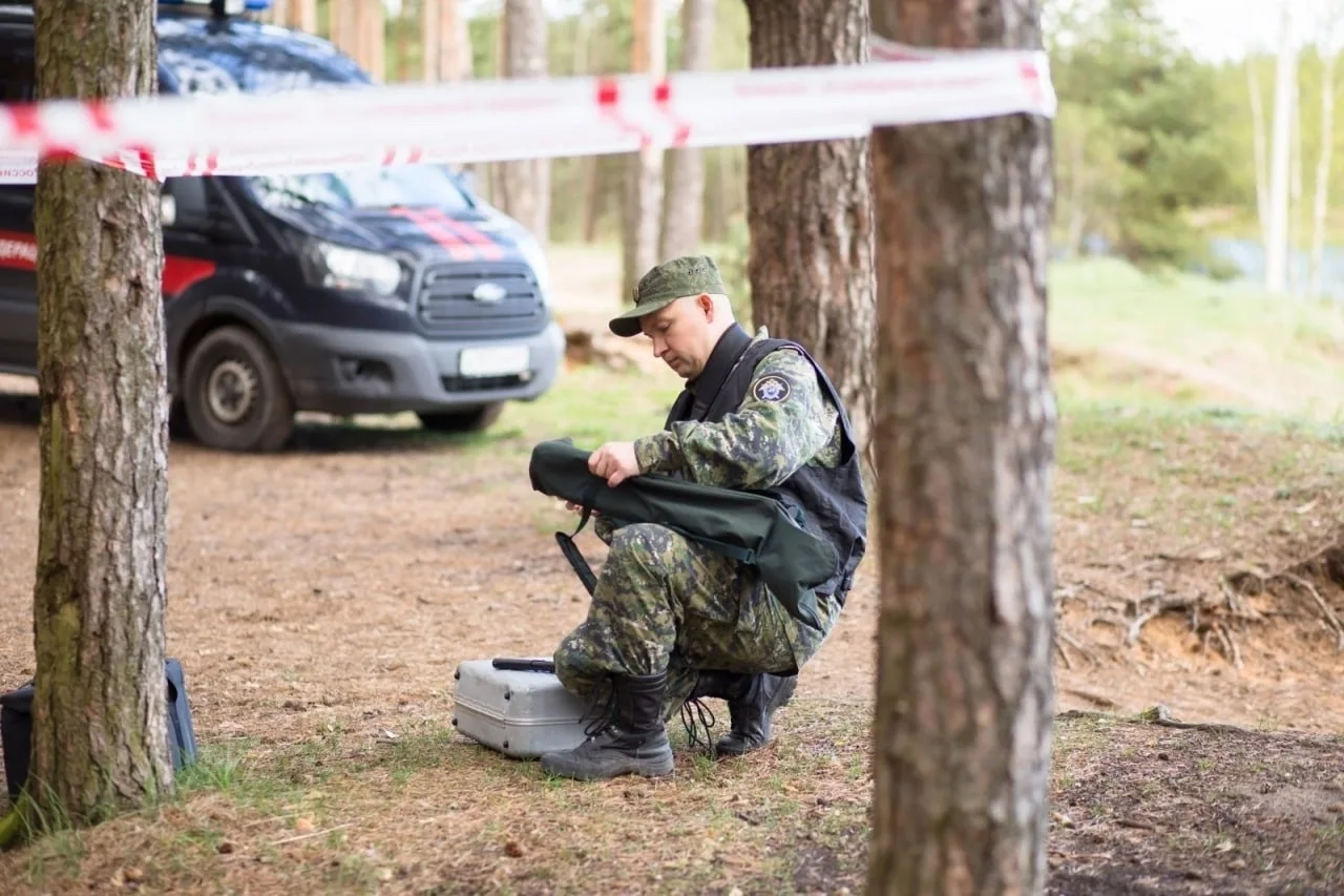 🌳 В лесу под Липецком найдено тело мужчины: личность погибшего не установлена