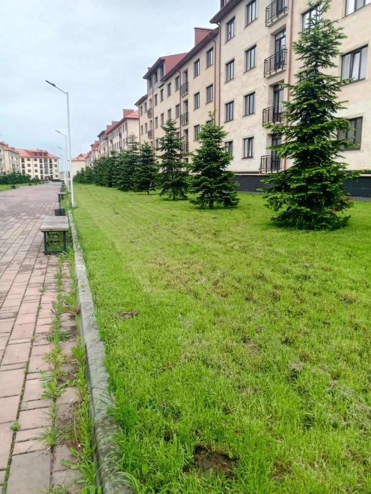 Уборка территории от 25.05.26г.