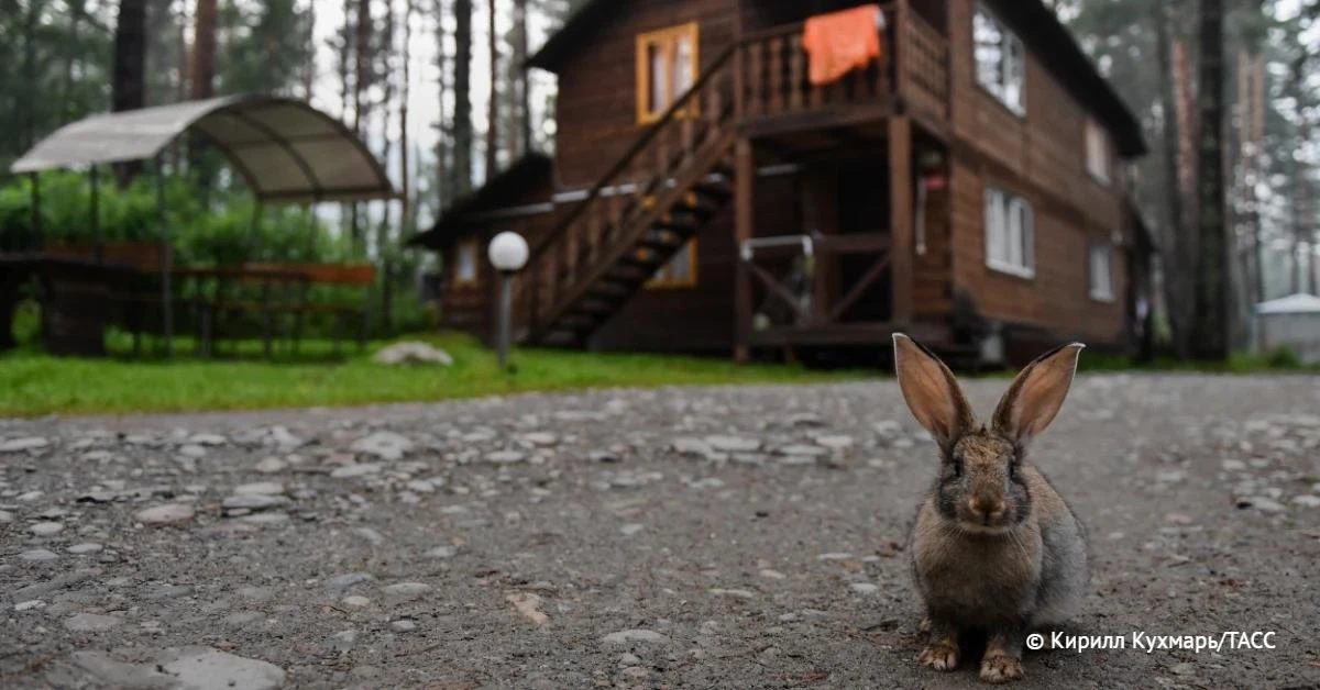 Россияне чаще всего бронировали загородные дома летом в Подмосковье, Ленобласти и Башко...