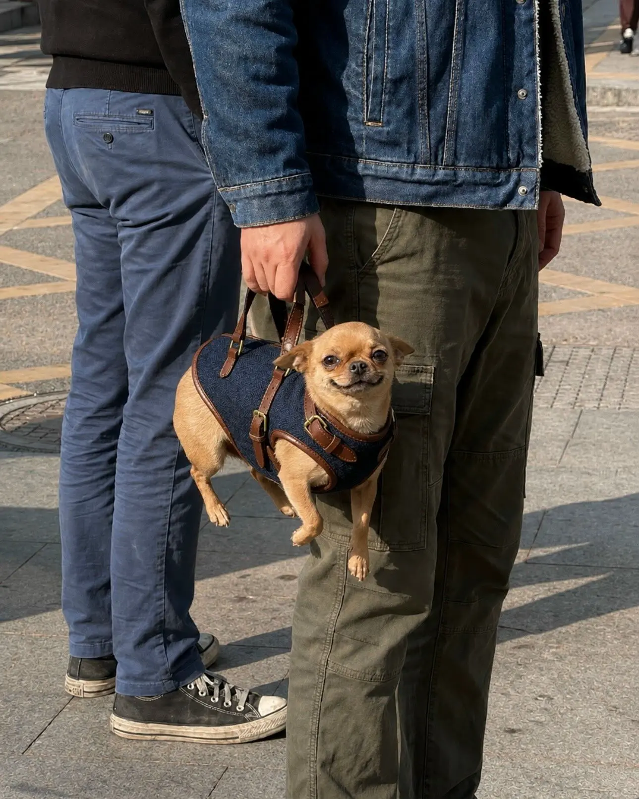В городе замечен один очень довольный собакен 🥹