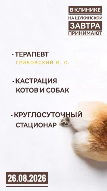 Звоните и записывайтесь на прием: