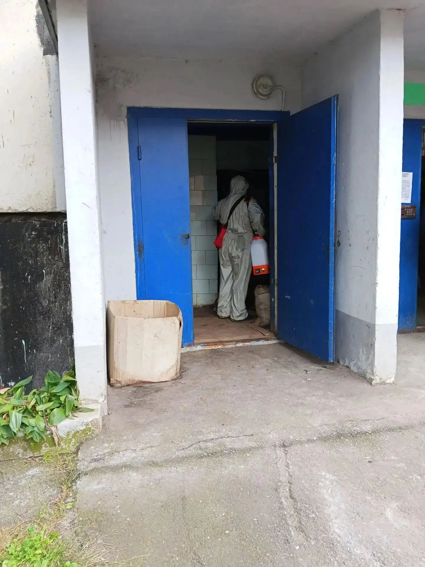 🔹Дезинсекция мусорокамер, клапанов мусопопровода, мест общего пользования ул. Смоленск...