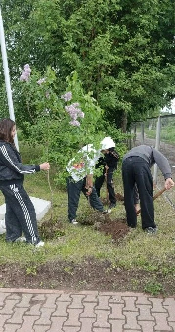 Акция «Деревья вместо шаров»♻️ ☘️В Ярославской области стартовала экологическая акция, которая меняе