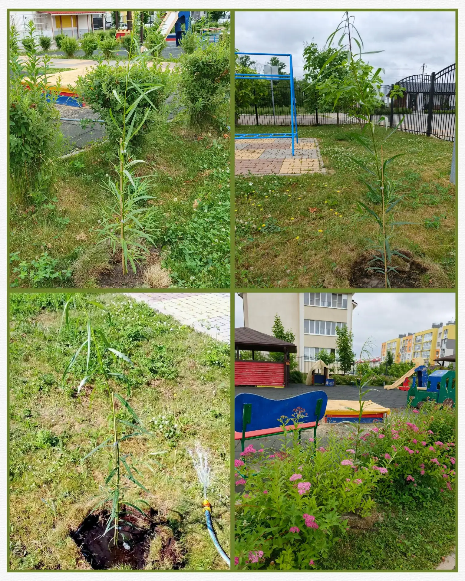 Друзья, у нас отличные новости! 🌿Наш детский сад стал ещё зеленее и уютнее.🌿

Благодарим ландшафтн