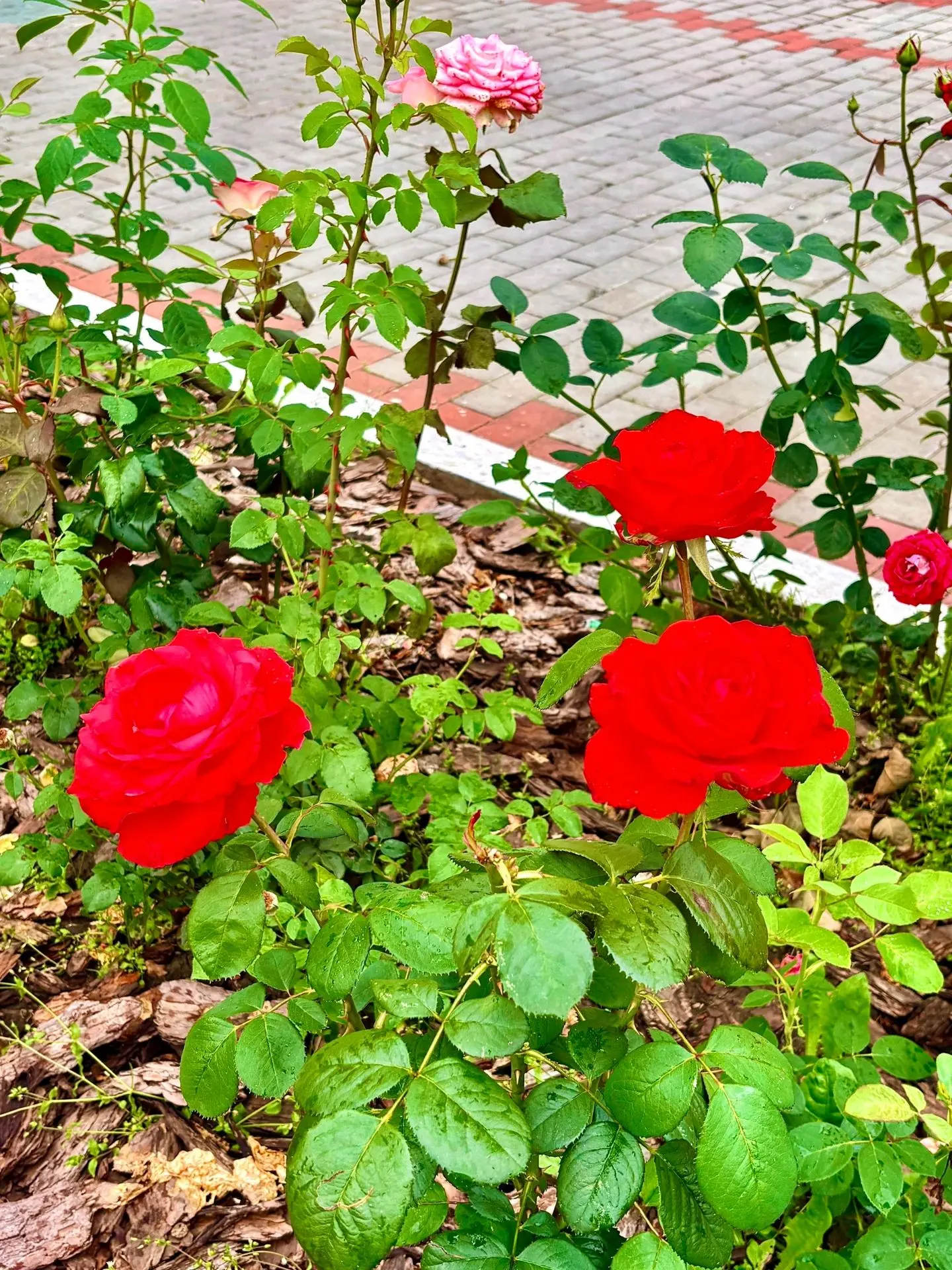 Дорогие друзья!
 🌿Пора позаботиться о себе! Санаторий "Бакирово" приглашает вас провести незабываем
