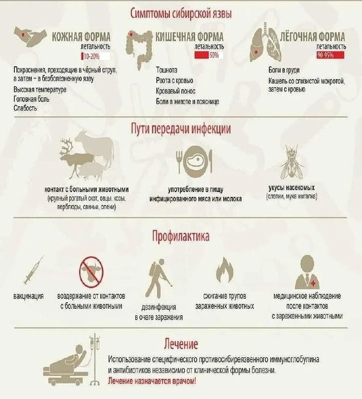 Сибирская язва — это острая инфекционная болезнь животных и человека, возбудителем которой является 
