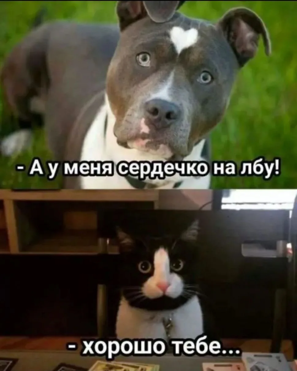 Везунчик🙄