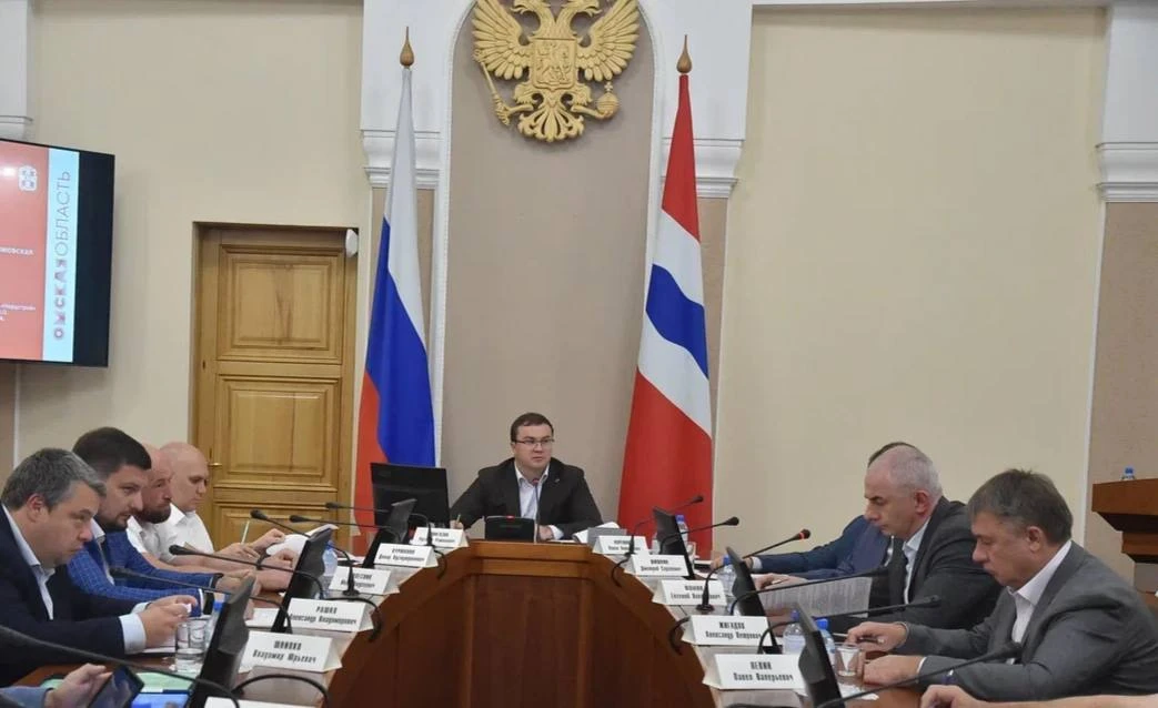 На заседании Архитектурно-градостроительного совета Омской области рассмотрели новые пр...