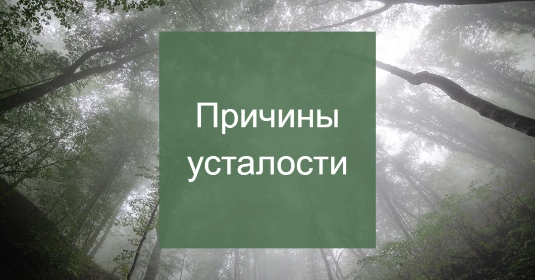 В эту неделю я прохожу интенсив по психологии в Гештальт-методе. После того как я закон...