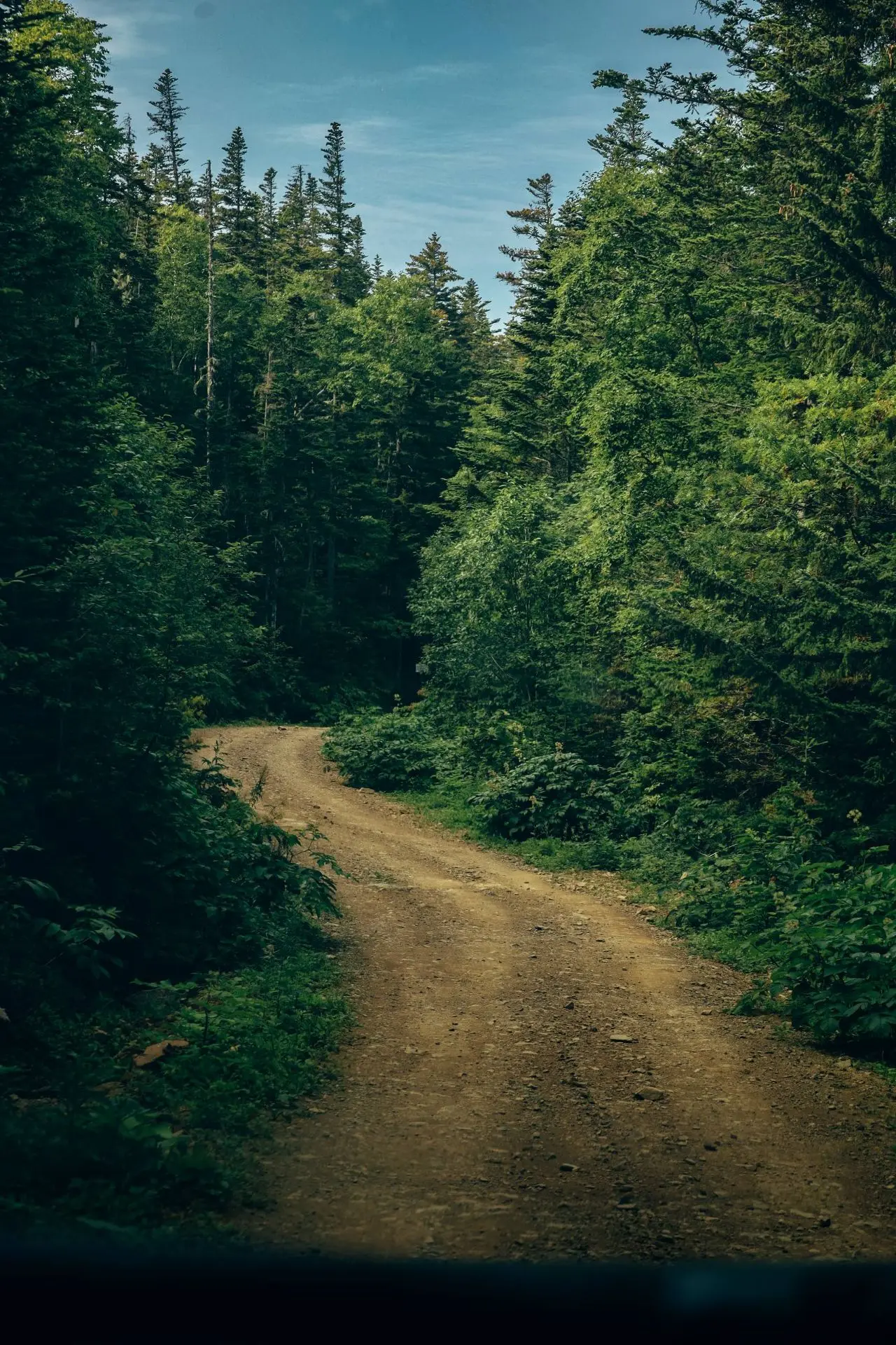 🌄 Мыс Быкова — дикий берег Сахалина