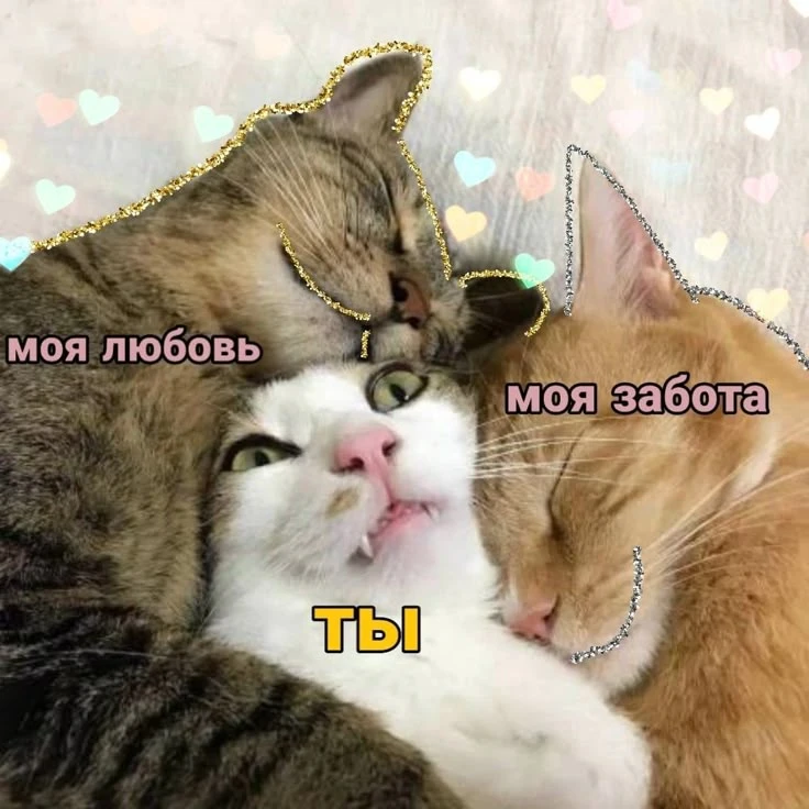 ☕️ Доброе утро, Челябинск! 

Сегодня отмечаем чудесный праздник - День заботы о любимых людях. Отлич
