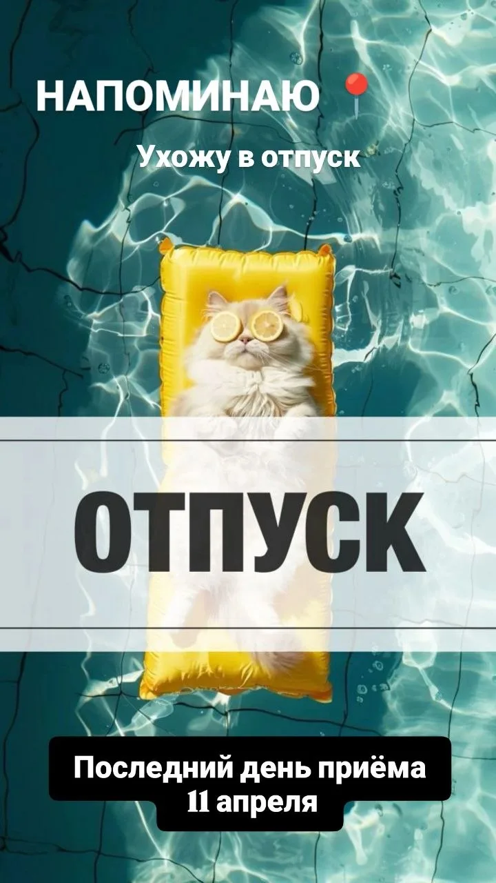 Напоминаю ❗