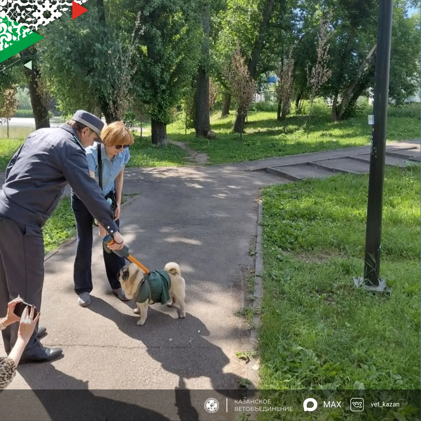 Рейд по регистрации собак в Казани: проверили парк им. Карима Тинчурина

Вчера, 16 июня, главный вет