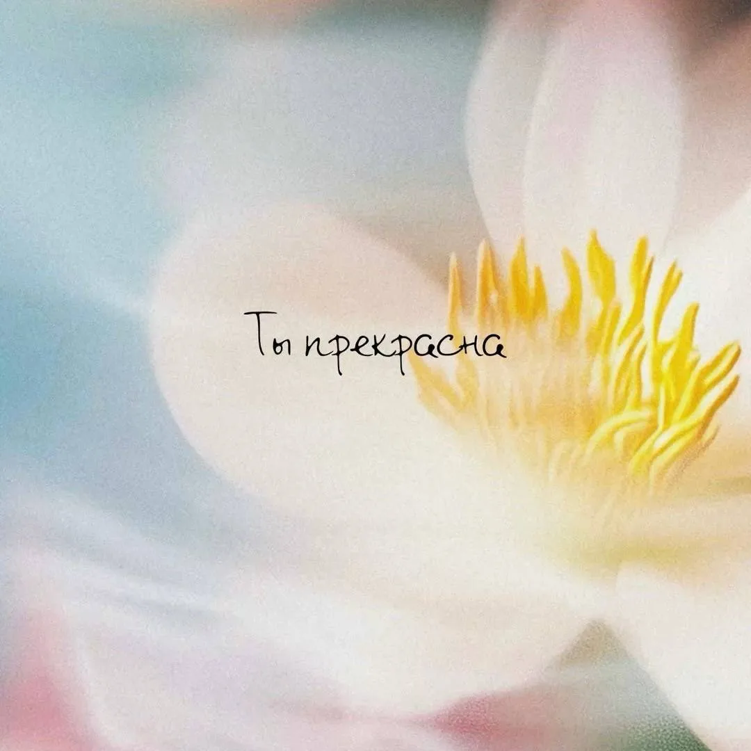 🛎️Настройка на день