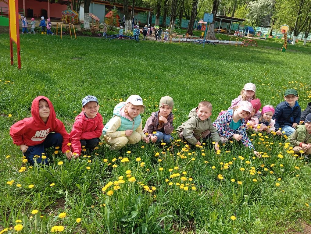🌼 Сегодня отмечаем День одуванчика! Этот яркий и радостный цветок — символ весны и обн...