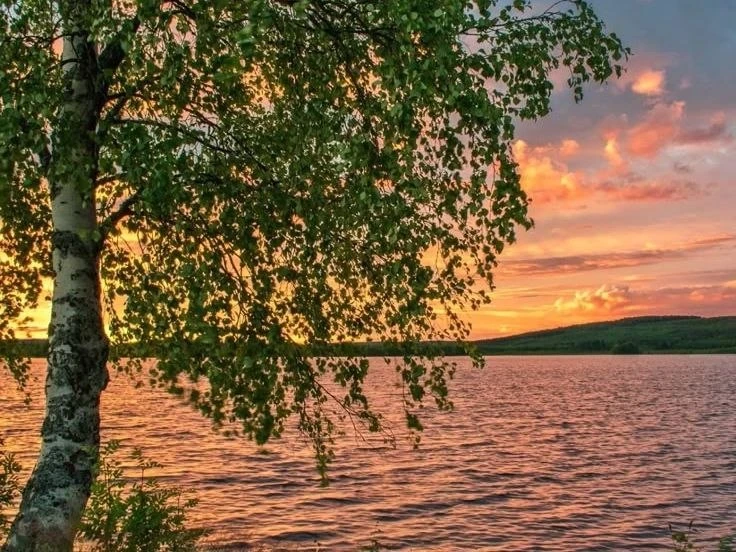 🌅 Доброе утро!
