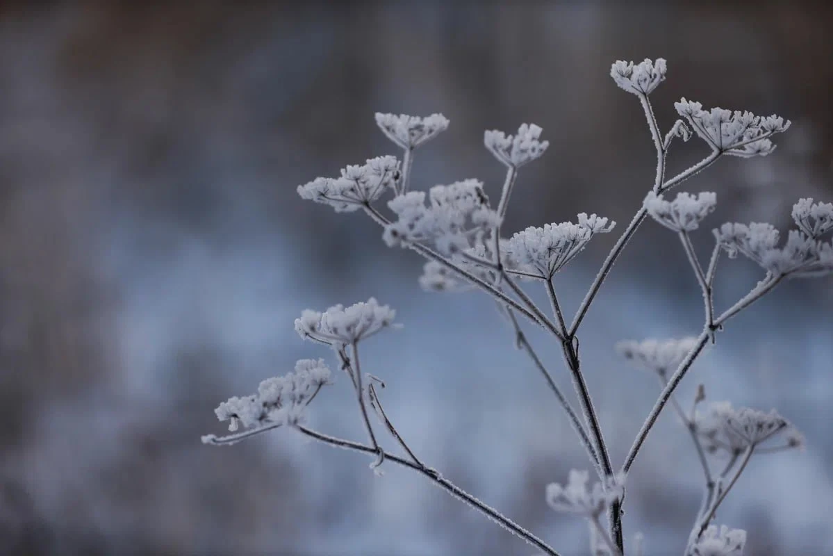 🥶Ночи в Казани все холоднее