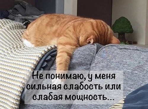А вы знали, что «лень» - это почти всегда не лень?