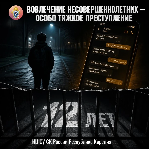 ИЦ СУ СК России по Республике Карелия напоминает об уголовной ответственности за вовлеч...