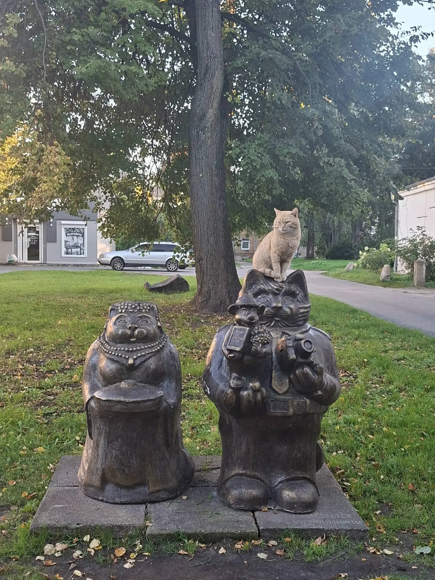 Очень удобное место, где можно присесть котику🐈
