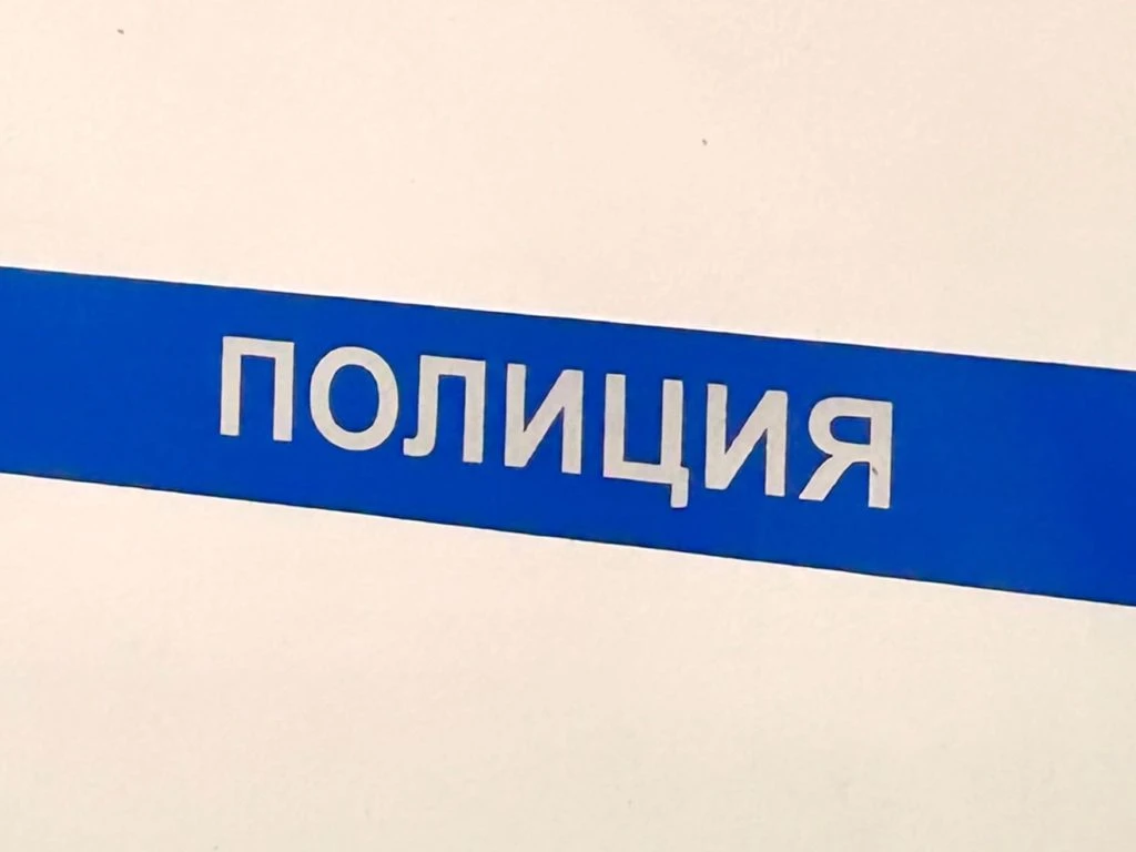 Из Рязани на родину принудительно отправили 6 мигрантов  Рязанские полицейские депортировали за пред
