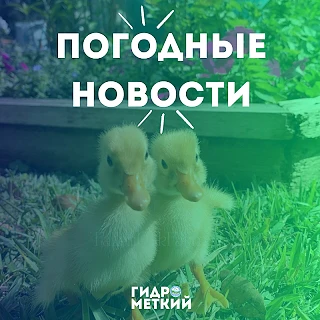 💥 Доброе утро, Гидромет!