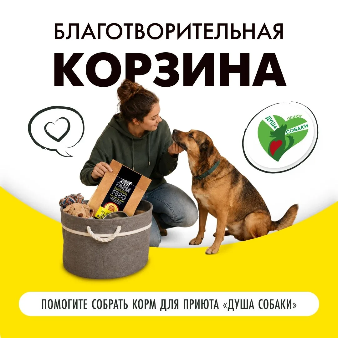 Через 3 часа заканчивается «корзина помощи приютам» для Душа собаки, город Донской. В н...