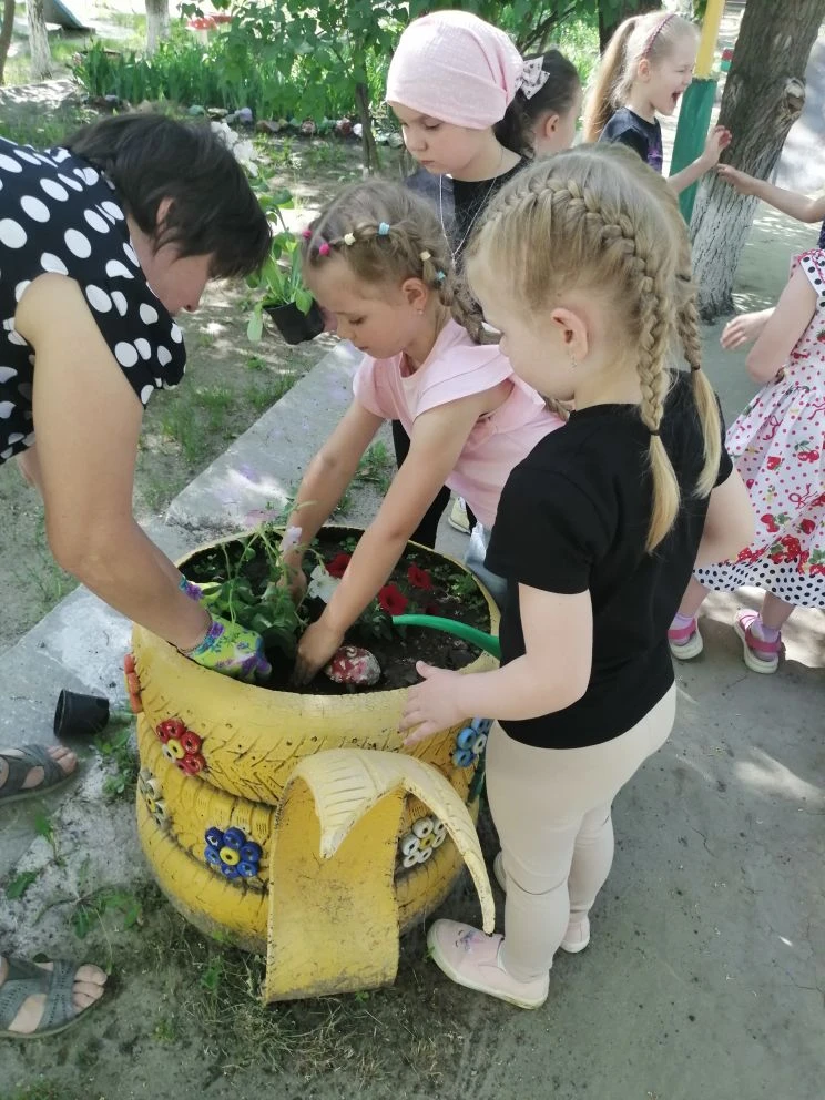 В старшей группе прошла экологическая акция "Подари цветок клумбе"