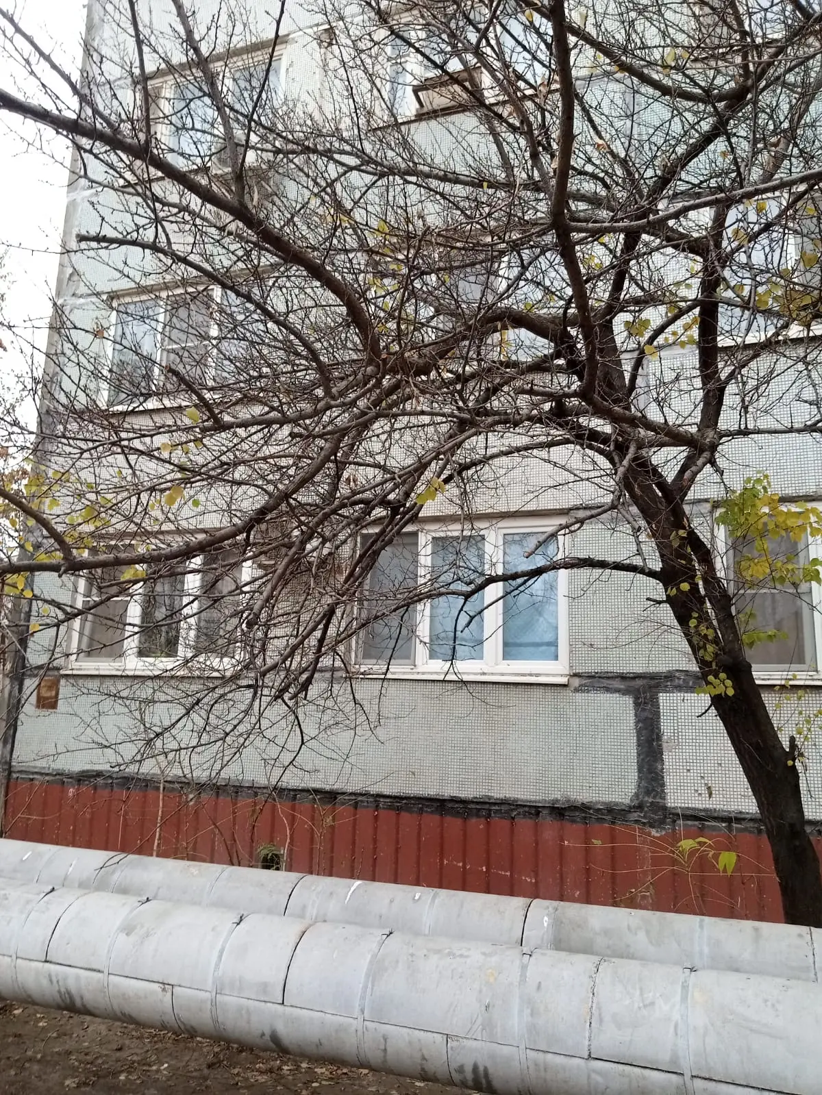 🌳 Работы на придомовой территории  Команда УК «АЖС» провела опиловку деревьев на придомовой территор