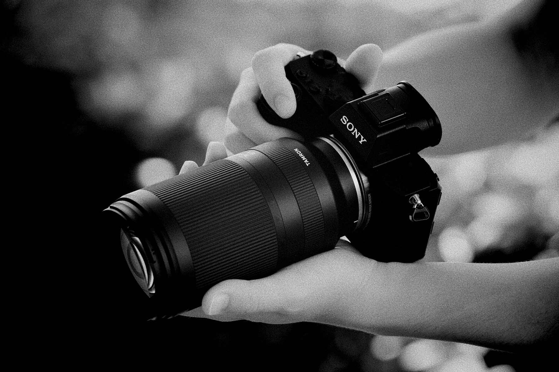 Sony предлагает выкупить Tamron за $1.2 млрд

Японское финансовое издание Diamond сообщает сенсацион