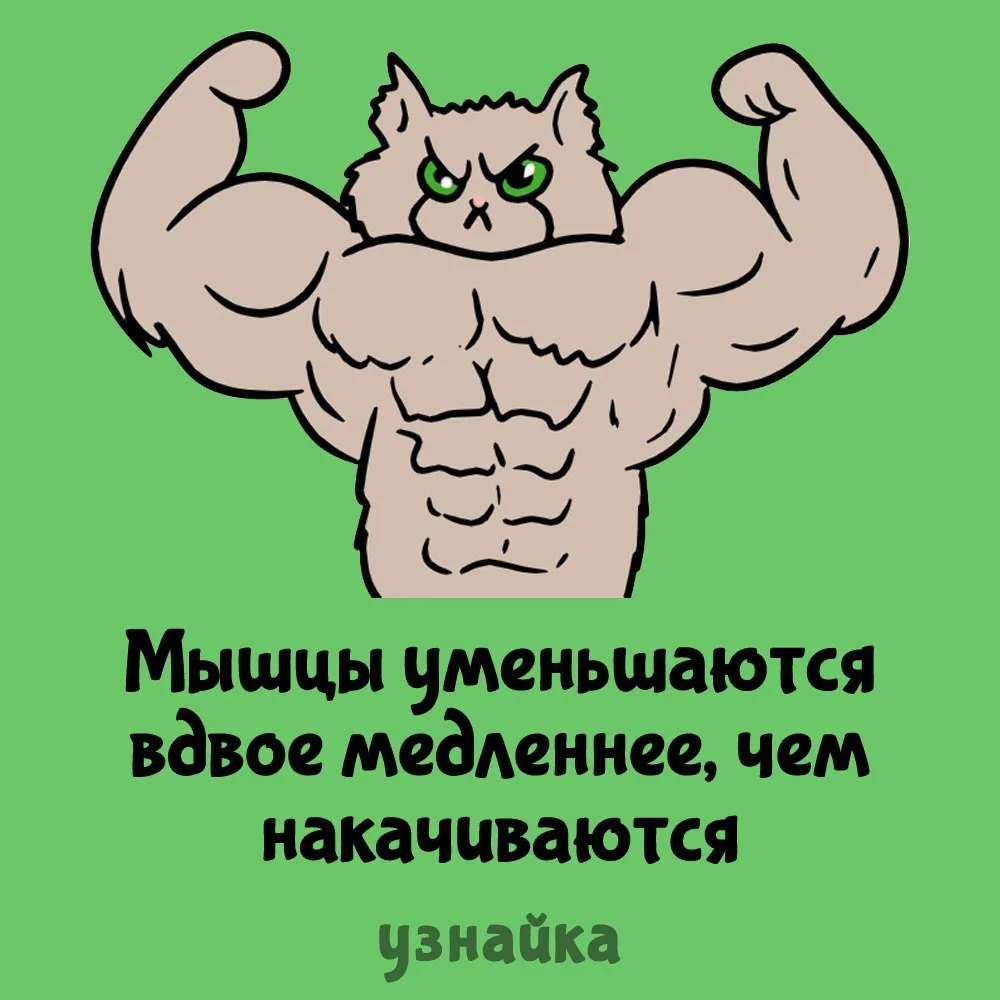 Для качков пост😊
