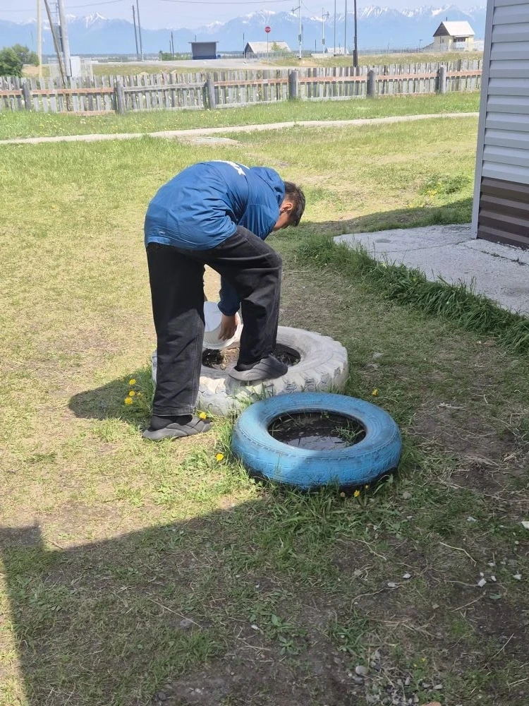 Трудовой десант. Поливка цветов