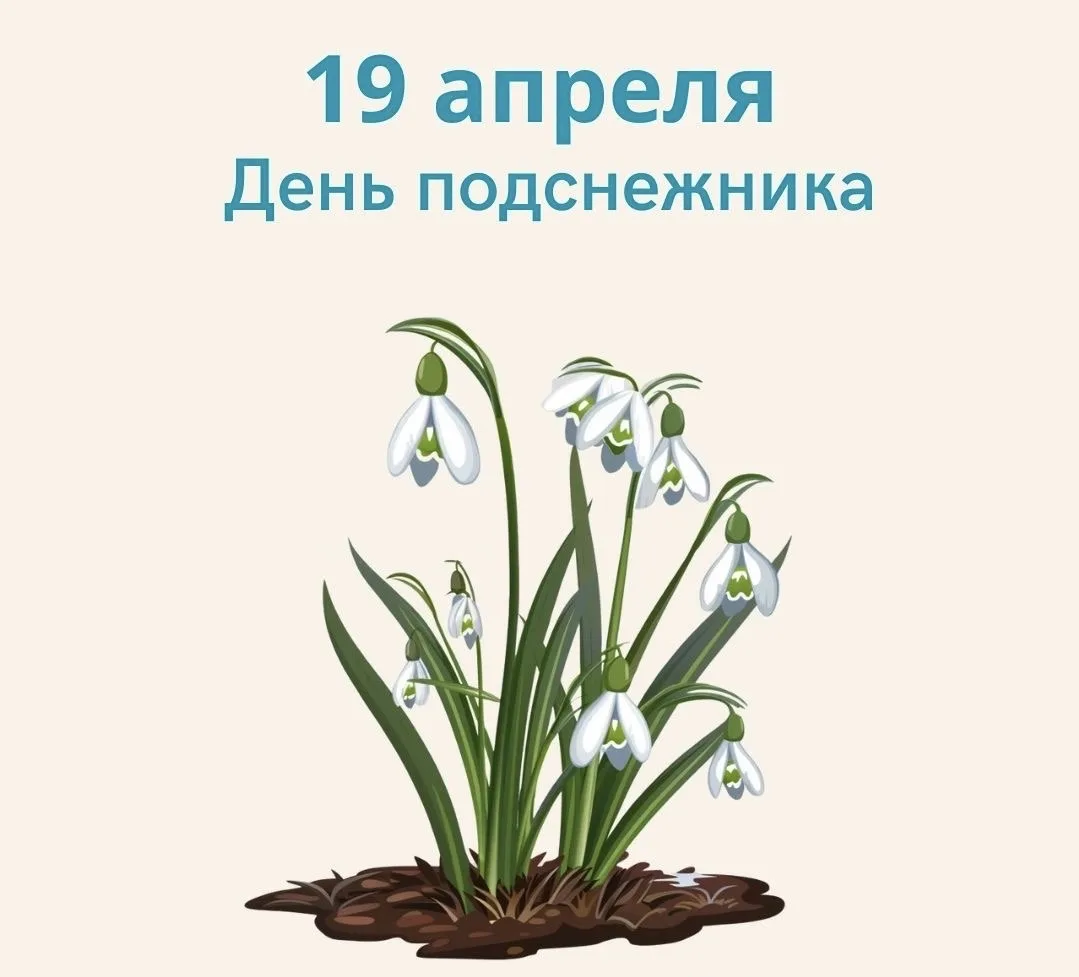 🌸 Всемирный день первоцветов и День подснежника🌸